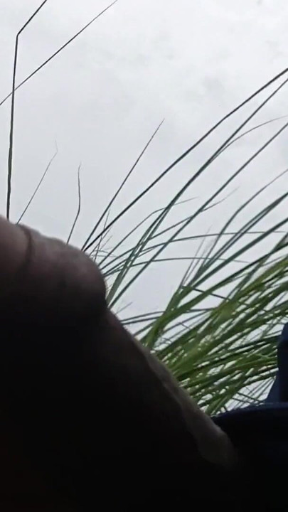 I'm shaking my black and small cock | Clip 1