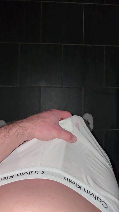 ホット・ジャーマン・チャンピオン PhantomGentX 2025年2月12日