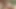 Cewek sange rambut cokelat dengan pantat bahenol dicrot di dalam saat seks threesome