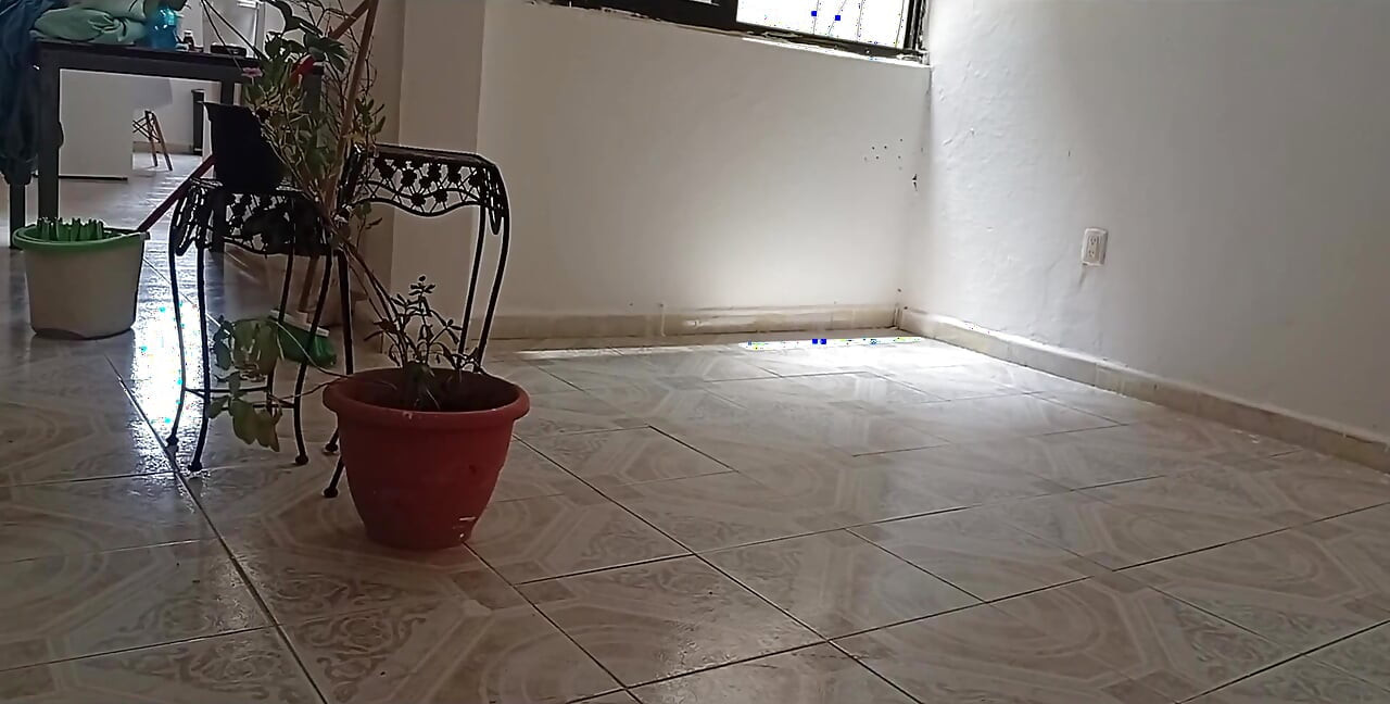 The Lady Who Cleans the House