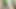 Yeni filmler Pakistanlı kız tam maza