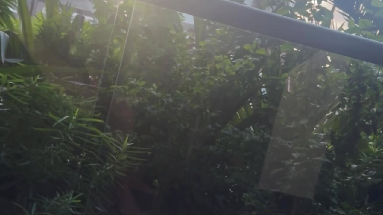 מאוהב בזין שלי כשיש לך זמן פנוי, זה מה שאני עושה