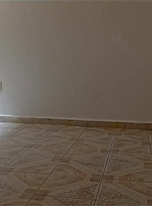 The Lady Who Cleans the House
