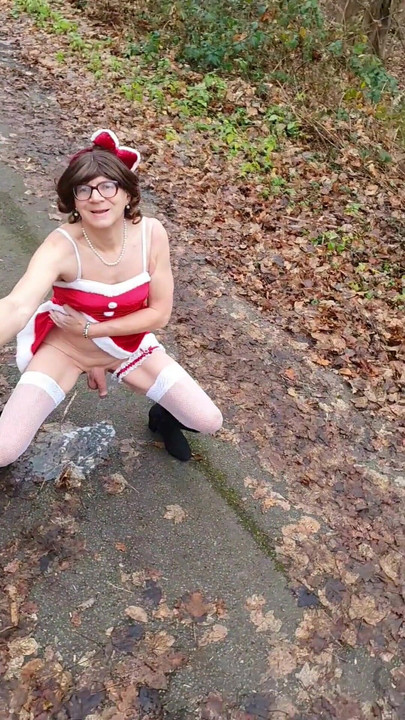 คริสต์มาสในป่า | คลิป 1