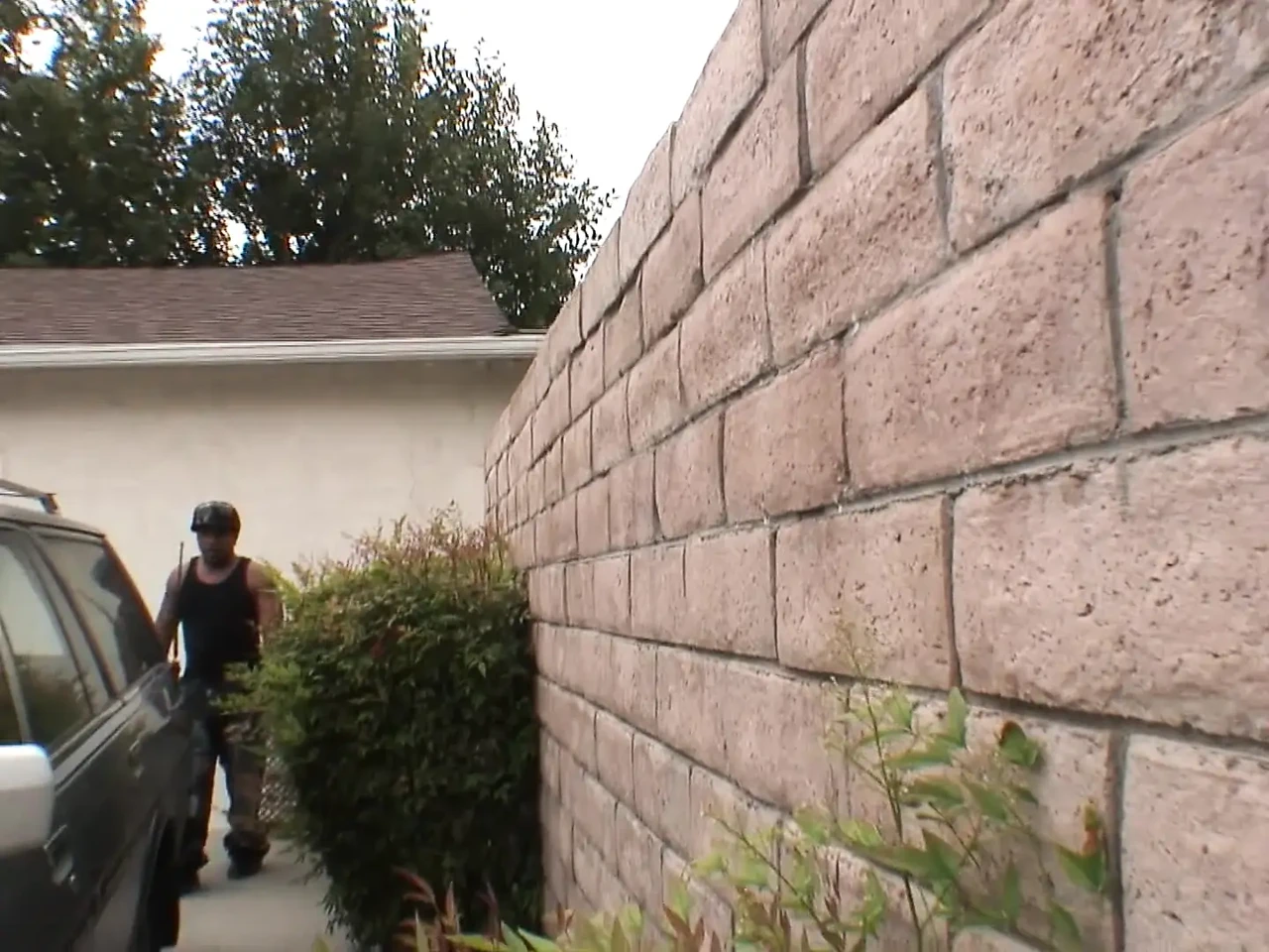 狐狸吃掉了, 第3部分