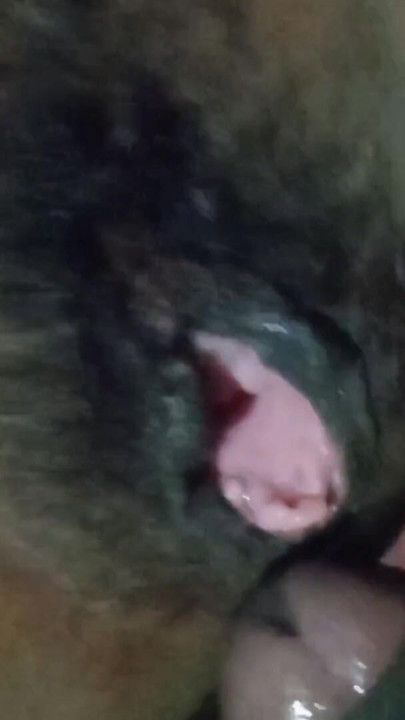 Bihari bhabhi | Clip 1