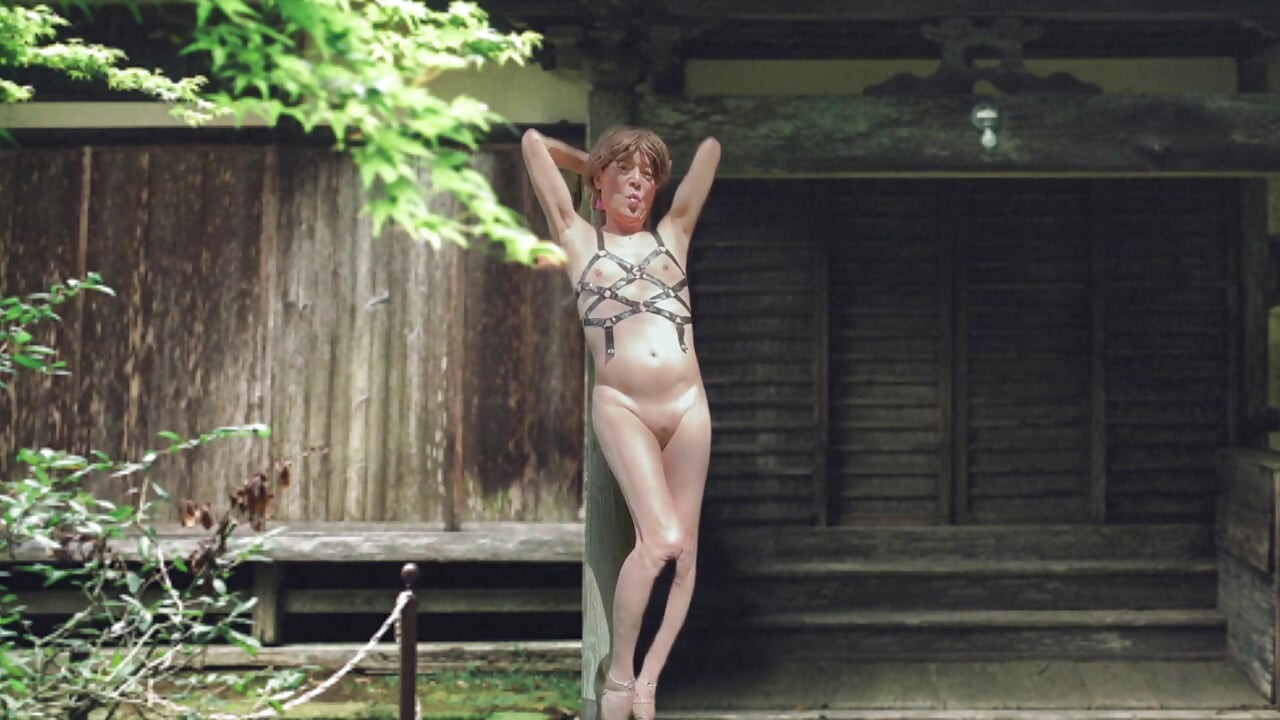 Japanska stara kuća i pai-chan