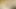 Masa üstünde pornstar güneşli şerit yapay penis matkaplar!