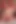 She Fucked My Face so Hard That My Bed Started to Creak and Squeak!