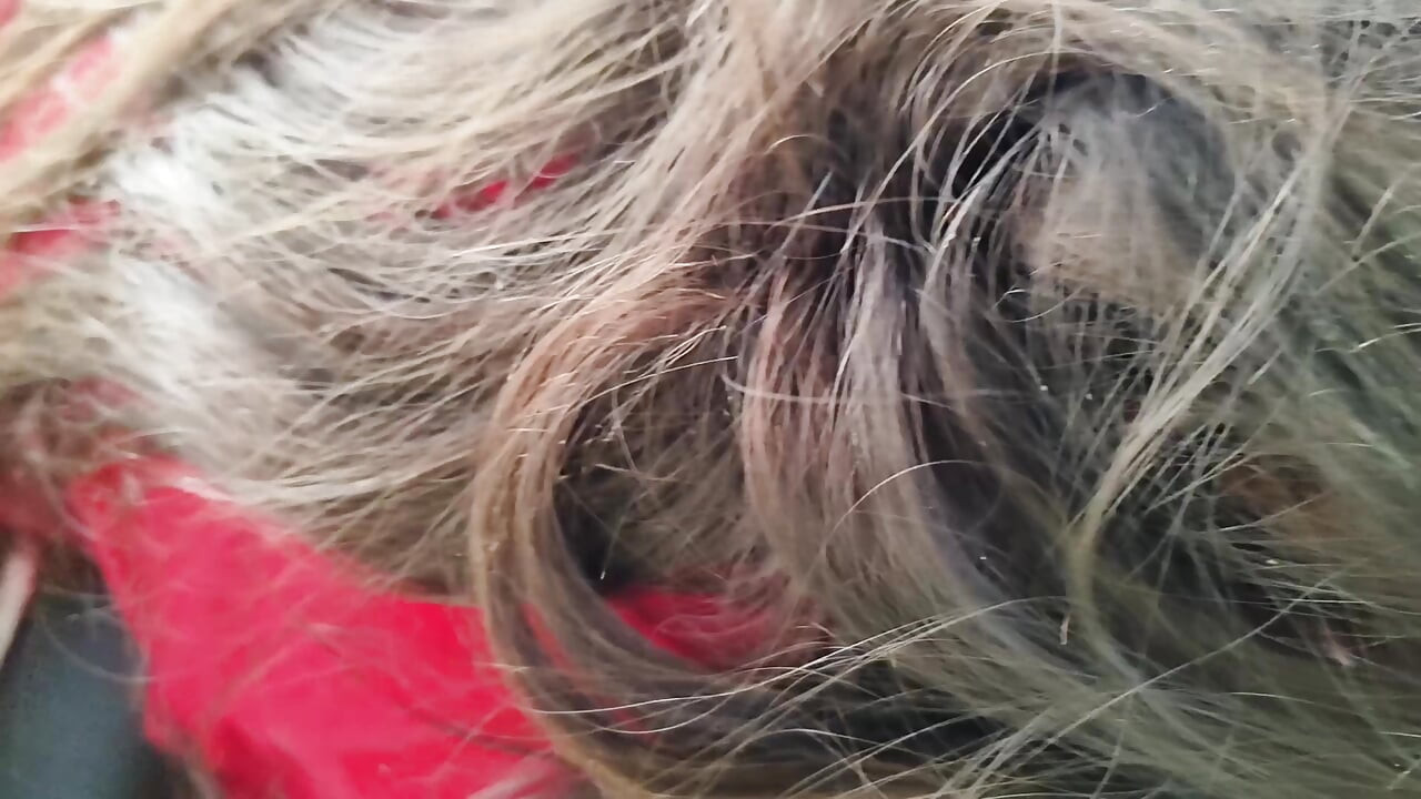 Freundin gibt ihrem freund blowjob im auto-sex in der Öffentlichkeit