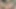 Horny and Begging! Submissive and pleading orgasm