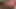 Close up cumshot.