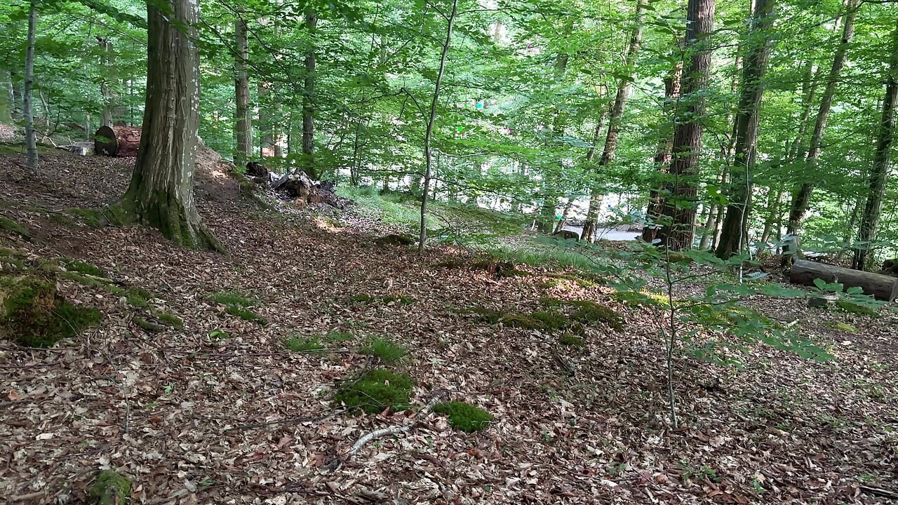 Almost Caught: Public Lake Fuck, Handjob & Outdoor Piss