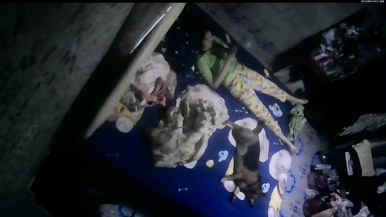 当妻子独自在家的时候..6