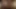 Velantines day happy Couple college girl lick boyfriend full body by her tongue and suck his big dick