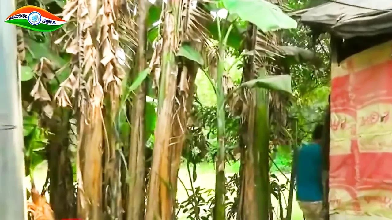 Bhabir nóng gosol bangla gosol phần 3