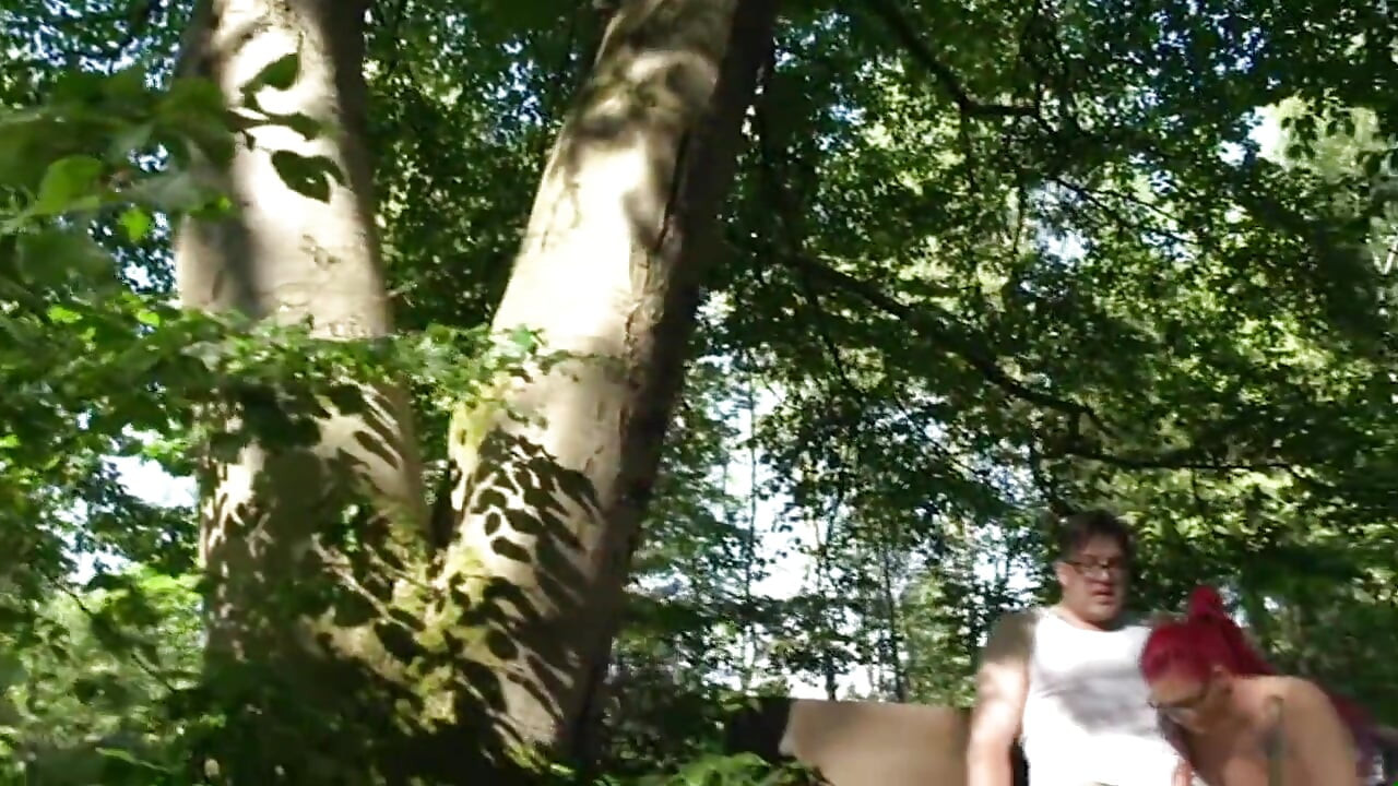 Head forester - pełny film