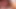 Порно ботаник: Devaun: минет и трах