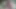 Teen Farrah Abraham's First Time Masturbating Live on Camsoda