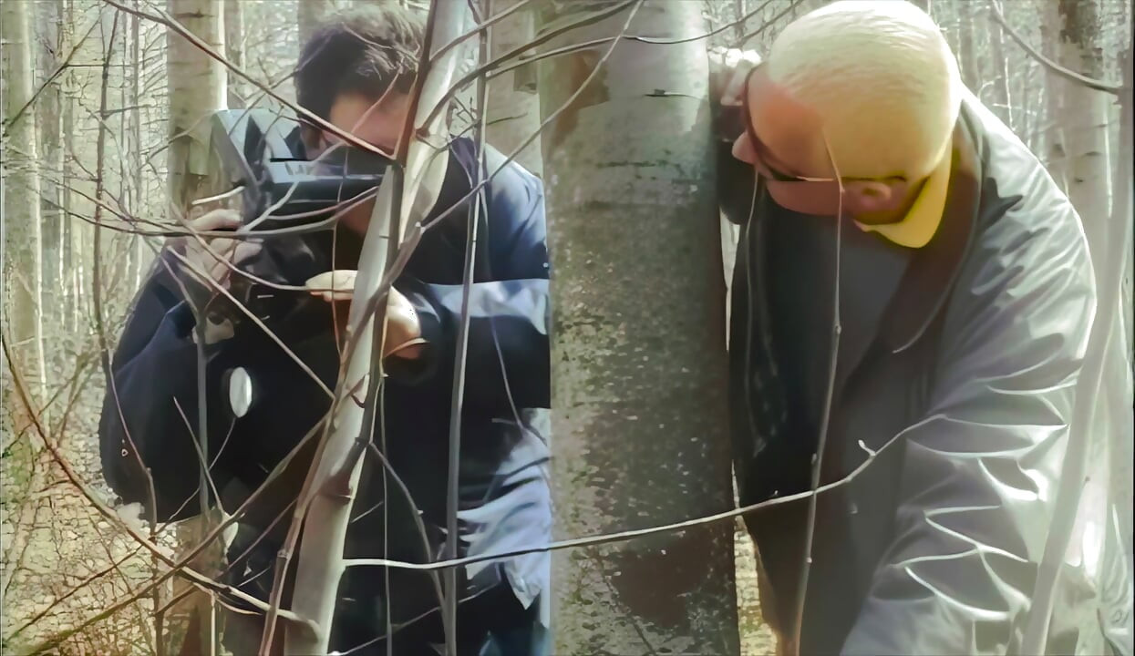 Anal Orgy in the Woods