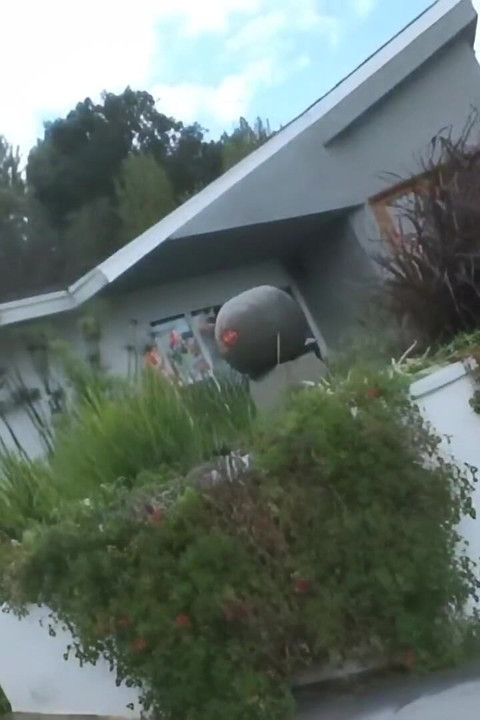 Two Dicks for a Venezuelan