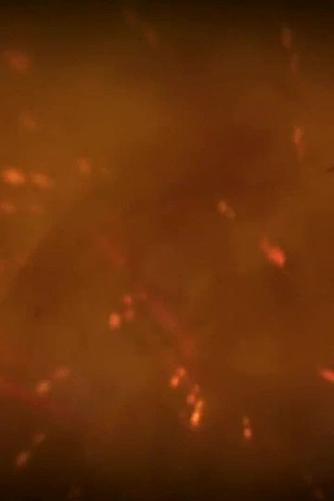 A Hard Fuck & All Is Forgiven