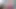 Bts mit Adaline Star & Zoeyuso Filthy Tabu