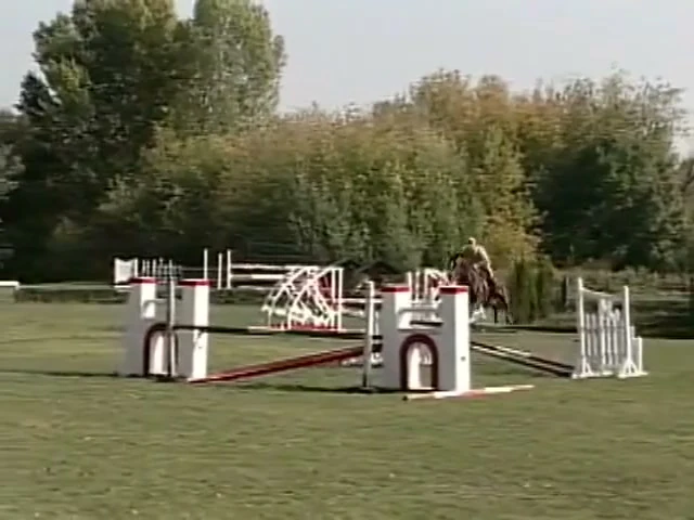 Wild Ride 3,nakedsword