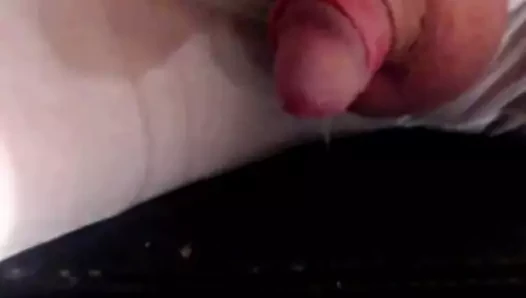 Dripping Precum