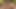Nuru Masajının Silken Dokunuşları