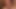 ミアはペニスをチンコに吸い上げた