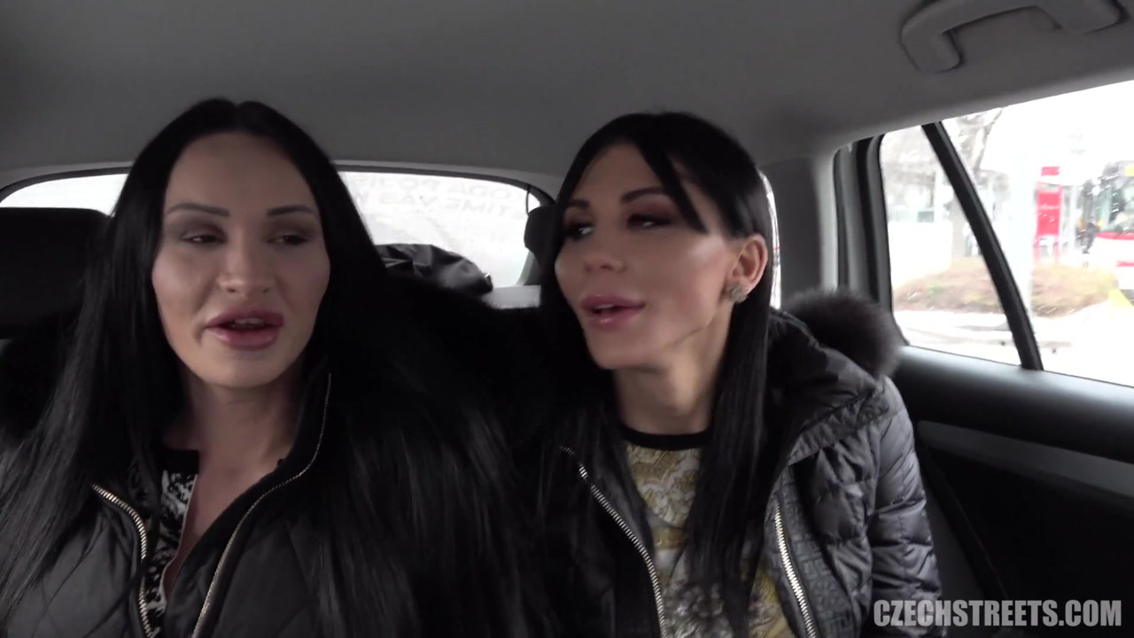 チェコの街 - ディックスとひよこ