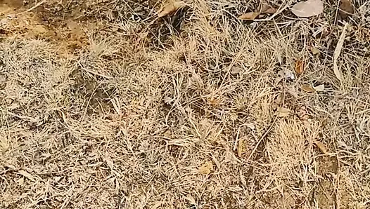 Masturbation on roadside