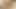 SOUTHERNSTROKES Twink Greg Noll Raw Breeds Gay Andy Scott