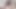 HOT EXHIBITIONIST ALPHA VERBAL STUD - VOYEUR FANTASY