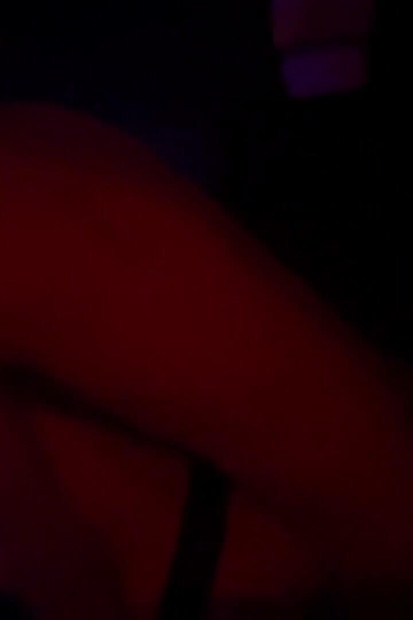 Peterfever Hustlaball uživo