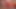 Addison Grey - Bikini-Flash-Tease - lass es uns versuchen