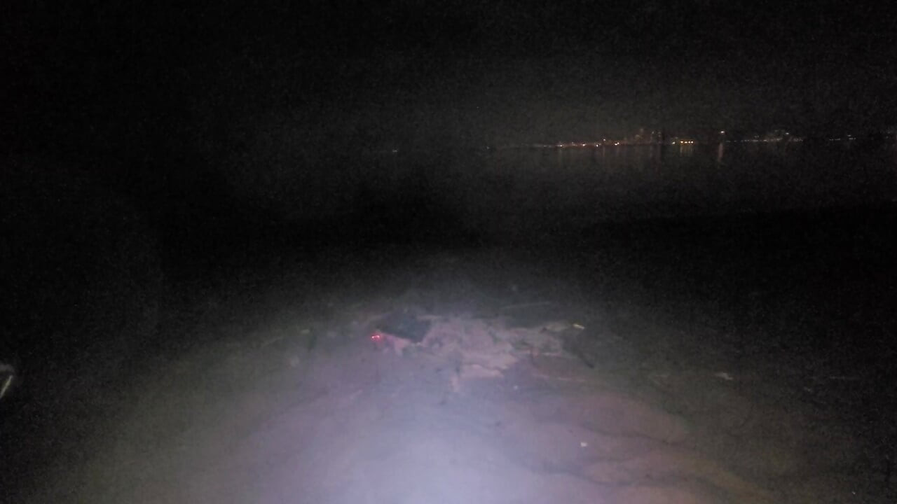 oiled masturbating on nude beach at night