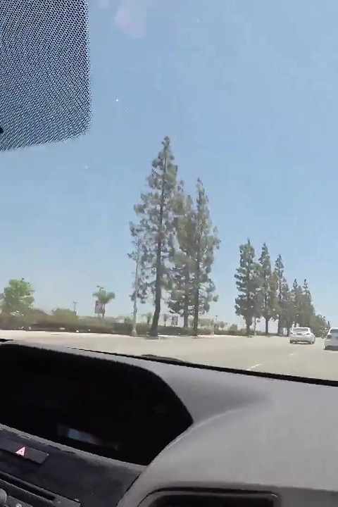 Violet monroe lagi asik jalan kaki dan violet monroe di jalan raya