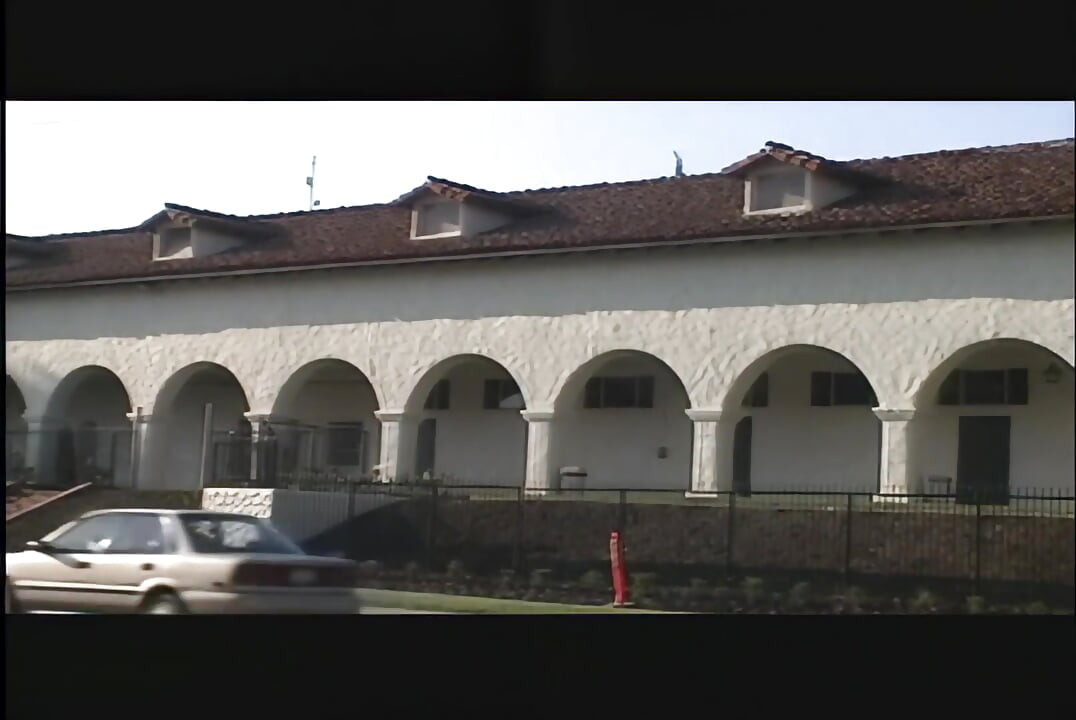 Destruidor de pau grande leva tudo para dentro