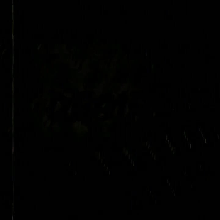 Silvia Saint geeft Aneta plezier met een voorbinddildo