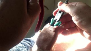 Sunday foreskin - stretching with two pliers