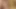 Пумы Julia Ann и Jessica Jaymes делают двойной минет!