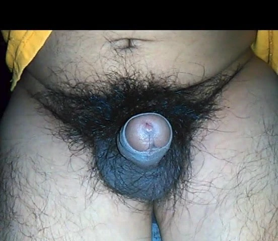 SMALL UNCUT DARK  AND VERY HAIRY PENIS