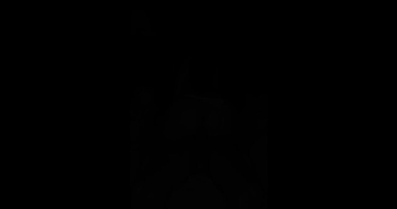我得到了Vanessinha Desi和Sticks的位置