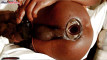 Pregled videozapisa