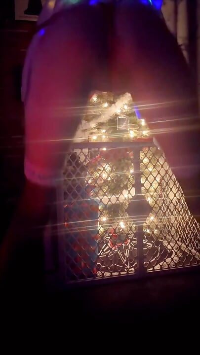 Веселый XXXmas