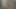 Yeni oyuncaklar ve komşu lanet yakalandı