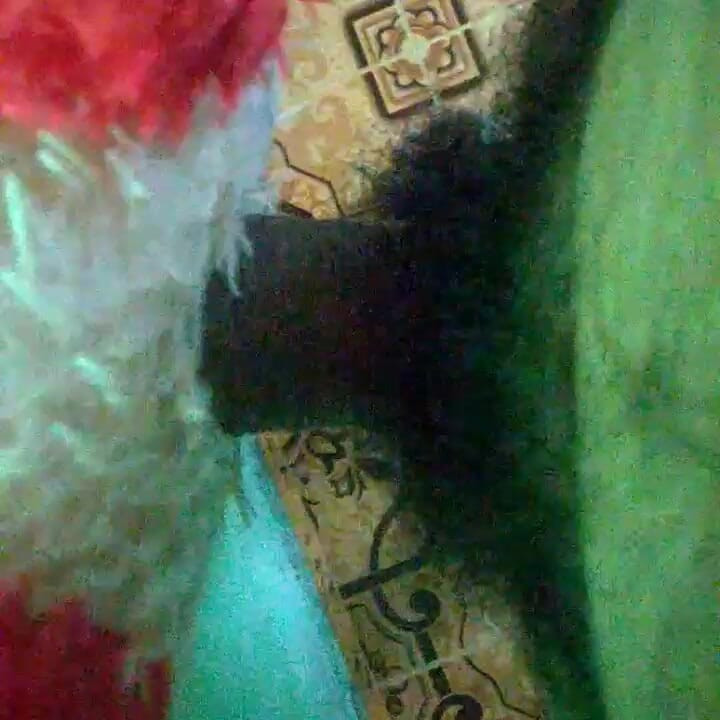 amateur fucking with toy,