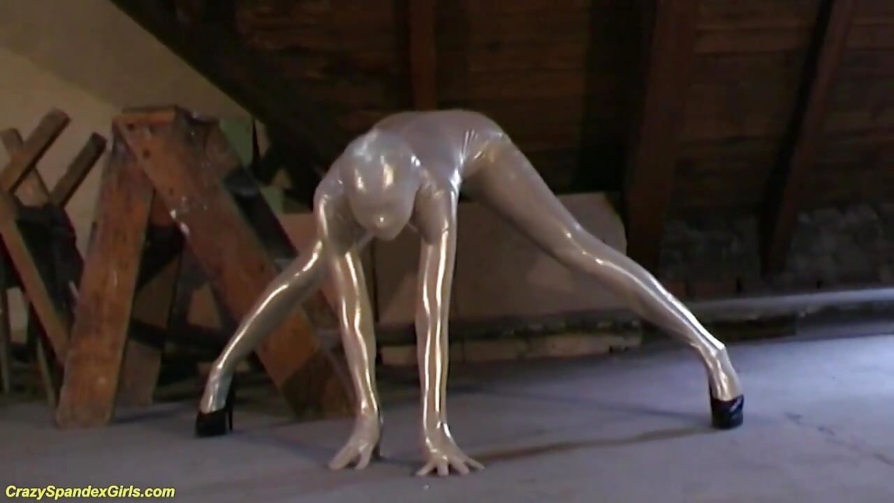 Fullbody Catsuit